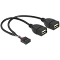 Produktbild: Delock USB Kabel Pinheader 10Pin zu 2x A Bu/Bu 0.20m