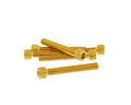Produktbild: Schraubensatz 6 Stück Innensechskant Alu gold - M6x45