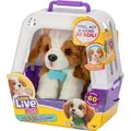Produktbild: Moose Toys LITTLE LIVE PETS My Really Real Puppy - Patches