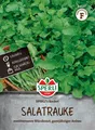 Produktbild: Mein schöner Garten DE SPERLI's Salatrauken-Samen 'Rocket' EH001448-001