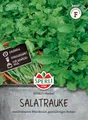 Produktbild: Sperli Salatraukesamen SPERLI's Rocket 84527 - Das perfekte Saatgut für mediterranes Würzkraut. Die Salatrauke eignet sich sowohl für den Anbau im Kübel, sowie im Gewächshaus.