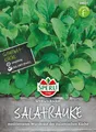Produktbild: Salatrauke 'Rocket' - Eruca sativa, Rucola, Rauke, Rukola, Samen 84527