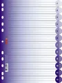 Produktbild: BRUNNEN Aktenordner BRUNNEN Ringbuchregister A4 12-teilig purple 106659560