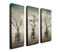 Produktbild: Wallity Leinwandbild 100% CANVAS, 70 x 20 cm (3 Pieces) A1159, (3 St)
