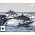 Produktbild: Speedlink Mauspad TERRA WWF, Delfine retail (SL-620300-WWF10)