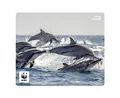 Produktbild: SPEEDLINK Terra WWF Mousepad aus recyceltem Material – rutschfestes Mauspad mit strapazierfähiger Oberfläche, aus umweltfreundlichen Materialien hergestellt, Delfin-Motiv