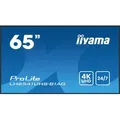 Produktbild: IIYAMA Profi-Monitor 65