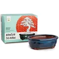 Produktbild: Bonsai Schale aus Keramik in Marineblau, abgerundet - perfekt für deinen Bonsai