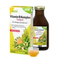 Produktbild: VITAMIN B Komplex Tonikum Salus 250 ml PZN 6149246