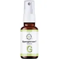 Produktbild: Spenglersan Kolloid G 50 ml