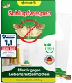 Produktbild: anwerk® Schlupfwespen gegen Lebensmittelmotten 25 Karten x 4 Lieferungen