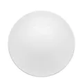 Produktbild: Rosenthal Speiseteller Rosenthal Tac Weiss Speiseteller 28 cm