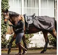 Produktbild: Back on track Ausreitdecke Back on Track Schrittdecke Sammy