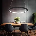 Produktbild: Hängeleuchte Pendelleuchte Ring rund led Lampen Wohnzimmer hängend Modern, aus Metall in schwarz-matt opal, 1x led 19W 800Lm warmweiß, DxH 38,5x120cm