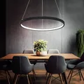 Produktbild: Pendelleuchte Ring Hängeleuchte rund LED Lampen Wohnzimmer hängend Modern, aus Metall in schwarz-matt opal, 1x LED 19W 800Lm warmweiß, DxH 38,5x120 cm