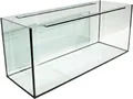 Produktbild: AAQ044 Aquarium rechteckig AptiGlass 120x40x50cm 240L bei Robizoo