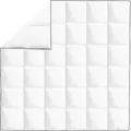 Produktbild: vidaXL Winter-Daunendecke 200x200 cm - Weiß