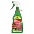 Produktbild: Neudorff Fungisan Rosen und Buxus Pilzfrei AF 1 Liter Sternrußtau Mehltau Rost