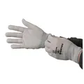 Produktbild: Wetec ESD-Handschuhe, antiallergen, S (Schutzhandschuh Produktschutz Handschuhe antiallergie)