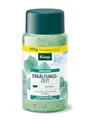 Produktbild: Kneipp Badekristalle Erkältungszeit - Badesalz Vorratspackung - mit naturreinem Tiefensalz der Saline Luisenhall & natürlichen ätherischen Ölen aus Eukalyptus & Minze - aromakologische Wirkung - 600g