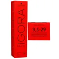 Produktbild: Schwarzkopf Igora Royal 60 ml 9,5-29 extra hellblond pastell lavendel Haarfarbe