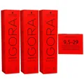 Produktbild: Schwarzkopf Igora Royal 3 x 60 ml 9,5-29 extra hellblond pastell lavendel Haarfa