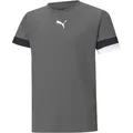 Produktbild: Puma Teamrise Jersey Trikot Kinder - grau