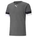 Produktbild: PUMA Unisex Kinder Teamrise Jersey Jr Shirt, Smoked Pearl-puma Black-puma White, 176 EU