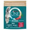 Produktbild: Purina One Bifensis Adult 800g Trockenfutter für Katzen mit Rindfleisch
