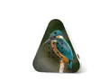 Produktbild: Relaxound Lakesidebox Limited Edition Spring 25 Kingfisher - Natursoundbox mit Waldseegeplätscher und Bewegungsmelder