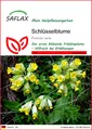 Produktbild: SAFLAX - Samen - Schlüsselblume - 100 Samen