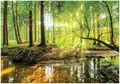 Produktbild: WallArena - Vlies Fototapete Wald Sonne Bach Grün Natur Bäume 200x140 cm - Fototapeten - Tapeten - für Wohnzimmer Schlafzimmer - Vliestapete Wandtapete Tapete 3D Effekt- inkl. Kleister