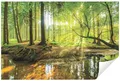 Produktbild: Wallarena Fototapete Wald Grün Natur 3D EFFEKT Landschaft Wohnzimmer Schlafzimmer Küche, Glatt, Wald, (Vliestapete, Vlies Fototapete), Fototapete grün Wohnzimmer Schlafzimmer Küche Flur Tapete + Kleister