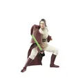 Produktbild: Star Wars Hasbro The Black Series, Jedi-Meister Indara, Sammelfigur für Erwachsene, 15,2 cm