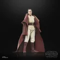 Produktbild: Star Wars Black Series Acolyte Jedi Master Indara Action Figure Hasbro