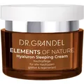 Produktbild: DR. GRANDEL Elements Of Nature Hyaluron Sleeping Cream 50 ml