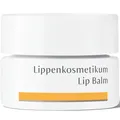 Produktbild: Dr. Hauschka® Lippenkosmetikum
