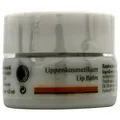 Produktbild: Dr. Hauschka Lippenkosmetikum Lippenbalsam 4,5ml