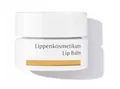 Produktbild: Dr. Hauschka Lippenbalsam 4,5 ml INTENSIVE PFLEGE FÜR TROCKENE LIPPEN LIP BALM