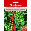 Produktbild: Dürr Samen Kirsch-Tomaten Sweet Million F1 Saatgut