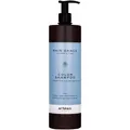 Produktbild: Artego Rain Dance Color 1000ml Shampoo für coloriertes Haar mit Quinoa-Extrakt