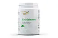 Produktbild: Vita World D(+)Galactose 250g vegetarisch ohne Gentechnik