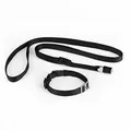 Produktbild: GoLeyGo Hundeleine & Halsband L schwarz