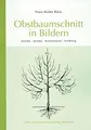 Produktbild: Obstbaumschnitt in Bildern: Kernobst - Steinobst - Beerensträucher - Veredlung (Arbeitshefte für die Gartenpraxis)