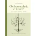 Produktbild: Obstbaumschnitt in Bildern