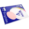 Produktbild: Clairefontaine Kopierpapier Pollen A4 80g/qm 100 Blatt rosa (80 g/m², A4) (4103C)
