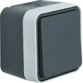 Produktbild: Berker TASTER, SCHLIEßER AP GRAU  W.1 (50453525)