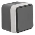 Produktbild: Berker Wipptaster grau 1S Aufputz W.1 IP55 matt - 50453525