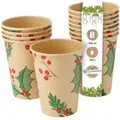 Produktbild: BIOZOYG 100 Stück Kaffee-Trinkbecher 300ml / 12ozPappe Winterliche Bedruckung mit Zweigen, Einwegbecher Kaffeebecher Pappbecher, biologisch abbaubar