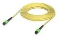 Produktbild: Ubiquiti Indoor OS2 single-mode fiber patch cable with MPO-12 Type B APC connectors designed for 100